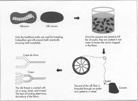 How silk is made - material, manufacture, making, used, structure ...