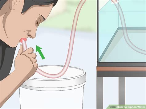 3 Ways to Siphon Water - wikiHow