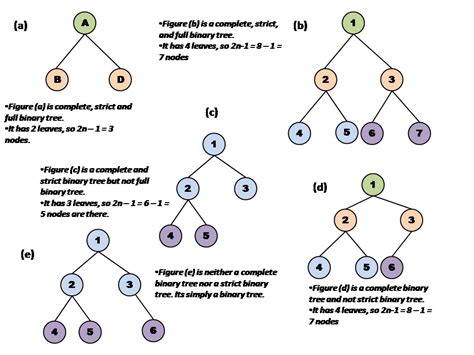 Computer Science and Engineering - Tutorials, Notes, MCQs, Questions ...