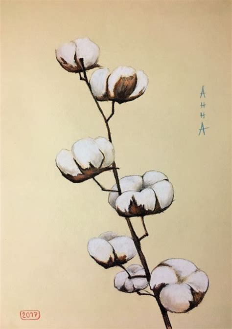 Cotton Flowers, Painting by Hanna Taranishyna | Artmajeur