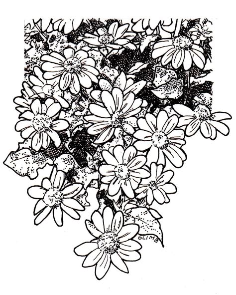 Mexican Flowers Drawing at GetDrawings | Free download