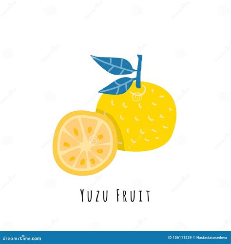 Yuzu Icon. Trendy Yuzu Logo Concept On White Background From Fruits And Vegetables Collection ...