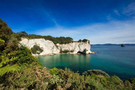 Coromandel Coast stock image. Image of flying, wake, scenic - 5572005