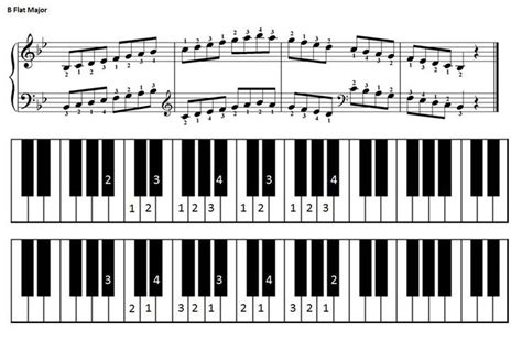 B flat major scale for piano (With images) | Nuty, Pianino