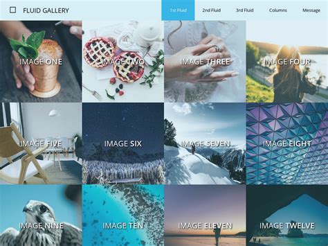 [Download 26+] Image Gallery Html Css Bootstrap