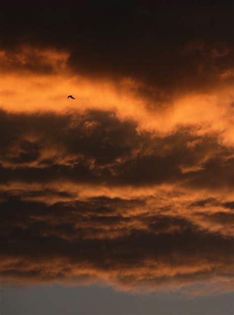 Orange Clouds During Sunset · Free Stock Photo