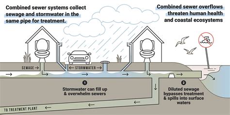 How do combined sewer overages (CSOs) pollute coastal watersheds?