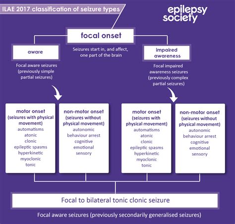 ILAE new seizure classification - what are the new seizure names? | Epilepsy Society