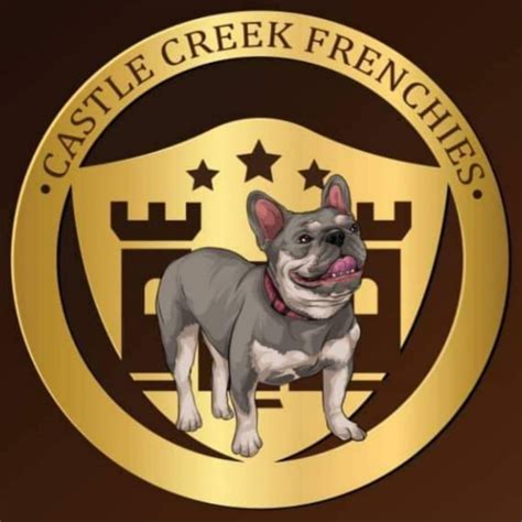 Castle Creek Frenchies | Whitesboro TX