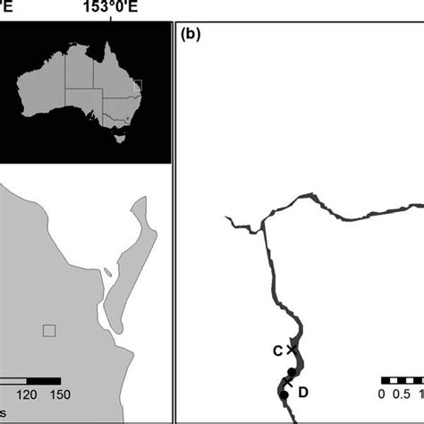 a) Geographical location of the Mary River (Queensland, Australia).... | Download Scientific Diagram