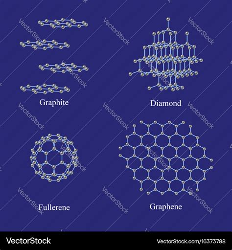 Allotropes of carbon graphite diamond fullerene Vector Image