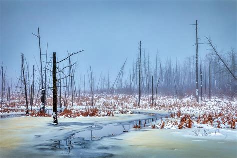 Winter in Maine 34a3175 Photograph by Greg Hartford - Fine Art America