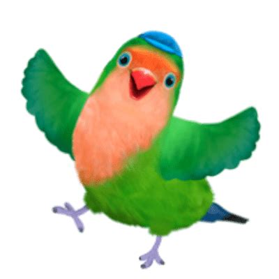 3rd&Bird Mrs.Lovebird transparent PNG - StickPNG