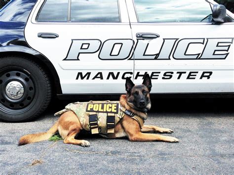 Manchester Police K9 Gets Bulletproof Vest | Manchester, CT Patch