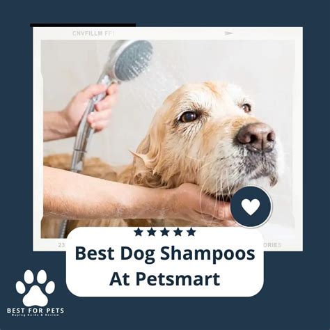 The 10 Best Dog Shampoos At Petsmart of 2023