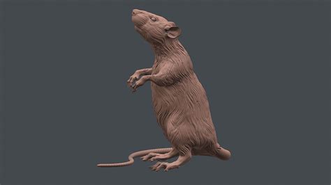 Rat sculpture 3D model 3D printable | CGTrader