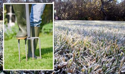 Winter lawn care: Jobs to do this season for healthy grass - your questions answered | Express.co.uk