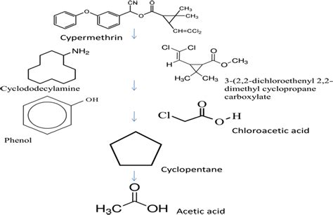 A new proposed pathway of cypermethrin degradation used by bacterial... | Download Scientific ...