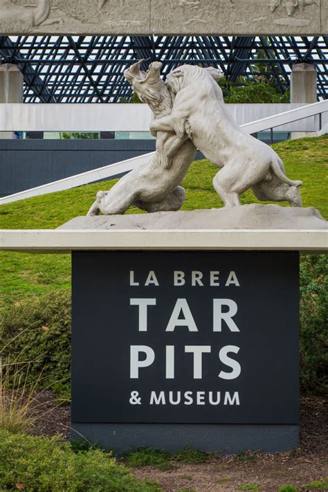 La Brea Tar Pits Info & Review - Travel Caffeine