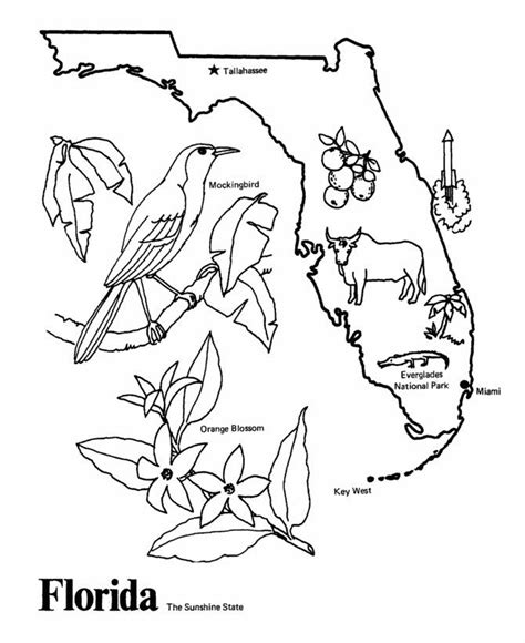 Florida State Outline Coloring Page. I Copy The Image And Paste To - Coloring Home