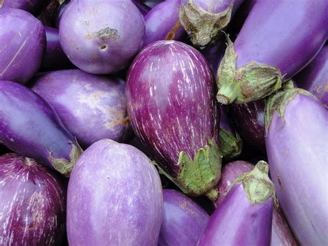 Nutrition and Fitness: Benefits of purple vegetables