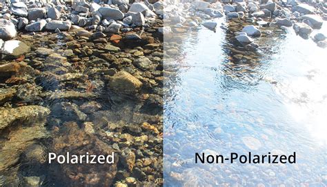 Polarised Lenses | Pappin & Pretorius Optometrists