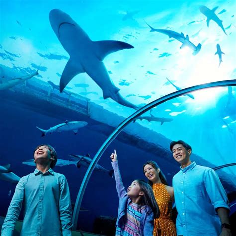 Home / Adventure & Water activities / Sentosa S.E.A. Aquarium One-Day Ticket