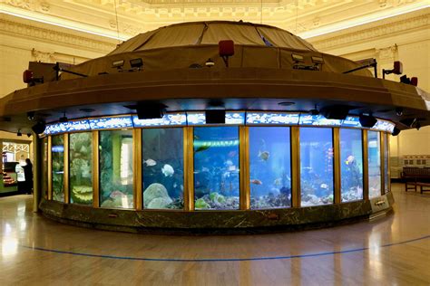 Chicago’s Shedd Aquarium, by the Numbers | Chicago News | WTTW