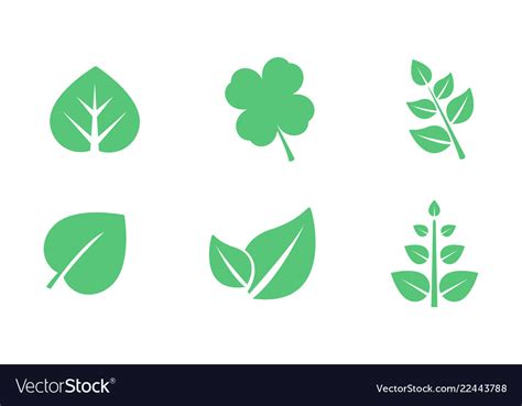 Green leaves set various shapes of leaves Vector Image