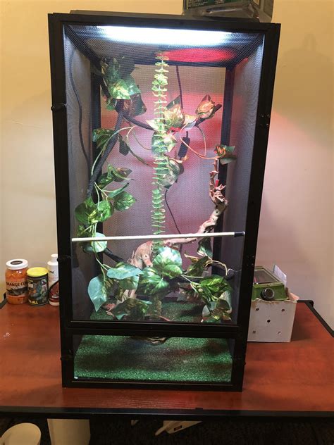 New Chameleon Setup : r/Chameleons