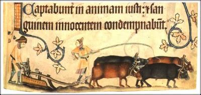 Medieval News: How the heavy plough changed the world