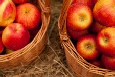 Basket With Apples Free Stock Photo - Public Domain Pictures