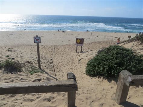 Marina State Beach in Marina, CA - California Beaches