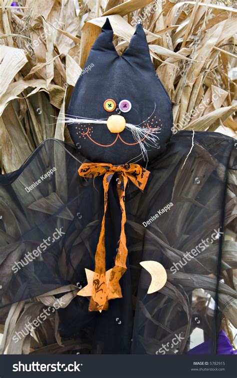 A Black Cat Scarecrow Against Cornstalks - Halloween Decoration. Stock ...