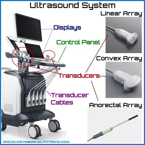Ultrasound Oncology Medical Physics - vrogue.co