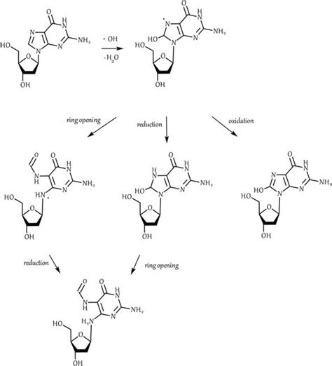 Antioxidant Compounds and Their Antioxidant Mechanism | IntechOpen