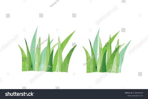 71,507 Botanical Grass Watercolor Images, Stock Photos & Vectors ...