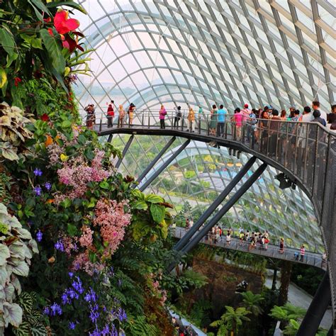 Cloud Forest, Garden By The Bay, Singapore | Singapore attractions, Gardens by the bay, Garden ...