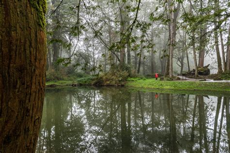 Alishan National Scenic Area | Kevin's Travel Blog