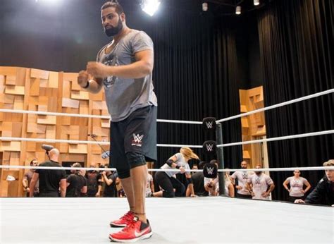 'Million Dollar Arm' pitcher is ready to step in WWE ring