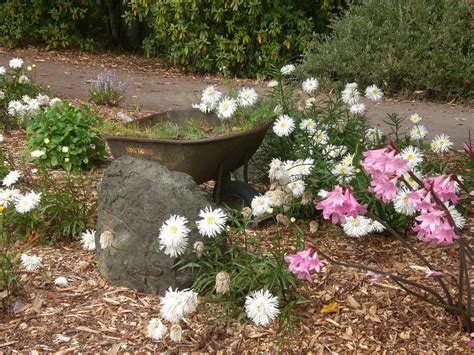 Fort Bragg Botanical Garden trip 25 by TheLastLutherian on DeviantArt