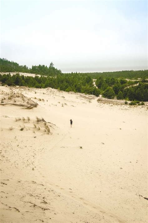 Your Adventure Guide to The Oregon Dunes - Oregon is for Adventure