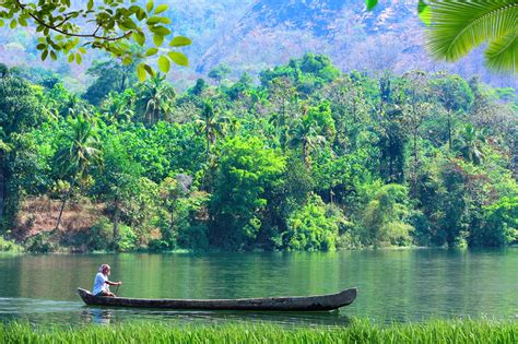 Kerala Nature India - Free photo on Pixabay