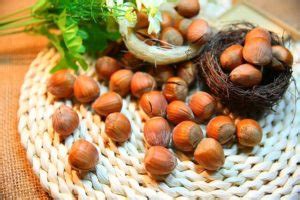 5 Nuts For Brain Health (Makes You Smarter): Work Faster, Live Better ...