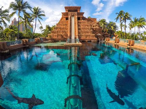 Staying at The Cove Atlantis • The Blonde Abroad | Water slides, Cool ...