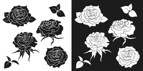 Premium Vector | Blossomed rose bud black and white silhouette