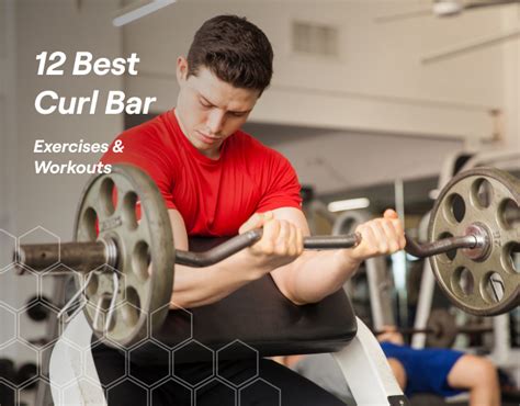 12 Best Curl Bar Exercises & Workouts (That Actually Work) – Fitbod