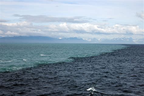 Activating Thoughts: Gulf of Alaska-Where Two Oceans Meet