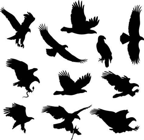 Flying Hawk Silhouette at GetDrawings | Free download