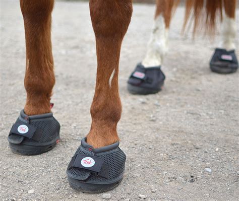 Cavallo Horse Boots: The best horse hoof boot – When It Clicks